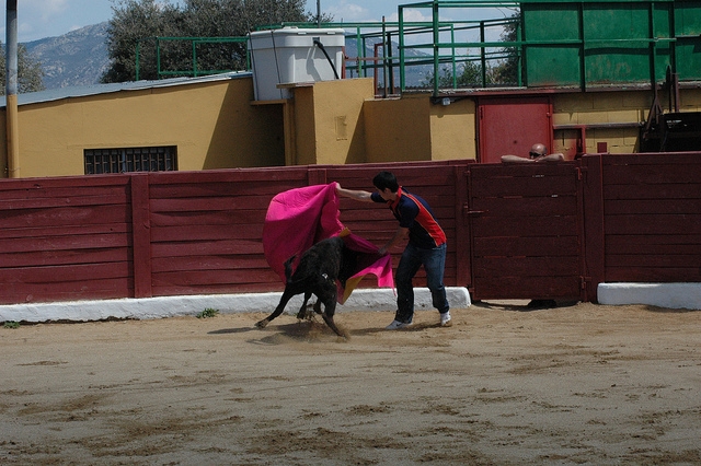 capeas retienta4.jpg